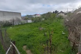 იყიდება მიწის ნაკვეთი, სასოფლო - სამეურნეო, მუხიანი