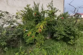 იყიდება მიწის ნაკვეთი, სასოფლო - სამეურნეო, მუხიანი