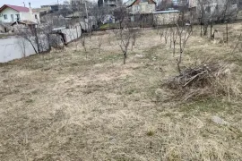 იყიდება მიწის ნაკვეთი, სასოფლო - სამეურნეო, მუხიანი