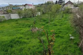 იყიდება მიწის ნაკვეთი, სასოფლო - სამეურნეო, მუხიანი