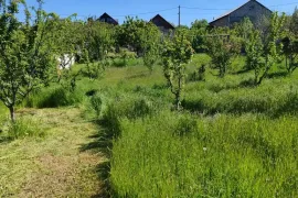 იყიდება მიწის ნაკვეთი, სასოფლო - სამეურნეო, მუხიანი