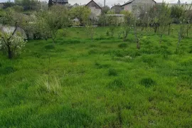 იყიდება მიწის ნაკვეთი, სასოფლო - სამეურნეო, მუხიანი