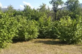 იყიდება მიწის ნაკვეთი, ქვიშხეთი