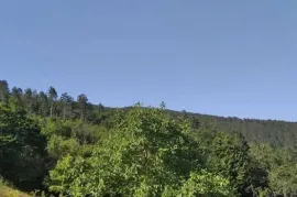 იყიდება მიწის ნაკვეთი, ქვიშხეთი