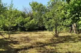 იყიდება მიწის ნაკვეთი, ქვიშხეთი