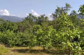 იყიდება მიწის ნაკვეთი, ქვიშხეთი