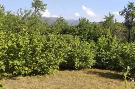 იყიდება მიწის ნაკვეთი, ქვიშხეთი