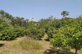 იყიდება მიწის ნაკვეთი, ქვიშხეთი