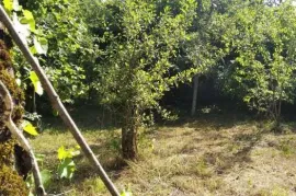 იყიდება მიწის ნაკვეთი, ქვიშხეთი