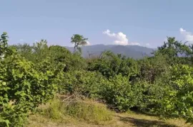 იყიდება მიწის ნაკვეთი, ქვიშხეთი