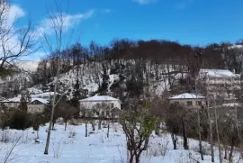 იყიდება სახლი, 9 ოთახიანი, ხელვაჩაური, ერგე