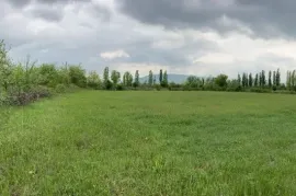 იყიდება მიწის ნაკვეთი, არა სასოფლო - სამეურნეო, მისაქციელი