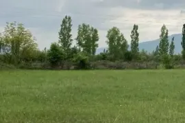 იყიდება მიწის ნაკვეთი, არა სასოფლო - სამეურნეო, მისაქციელი