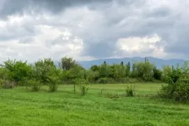 იყიდება მიწის ნაკვეთი, არა სასოფლო - სამეურნეო, მისაქციელი