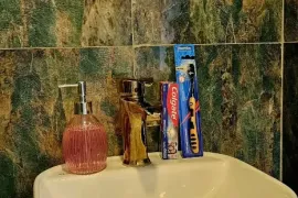 Аренда квартир посуточно, 1 Kомнатная, Новостройка, Рустави