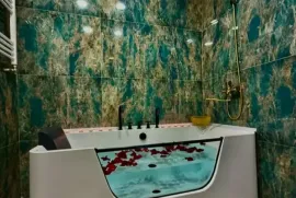 Daily Apartment Rent, 1 Room, New building, Rustavi