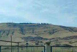 Land For Sale, Agricultural