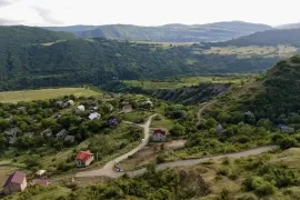 იყიდება მიწის ნაკვეთი, სასოფლო - სამეურნეო, წყლულეთი