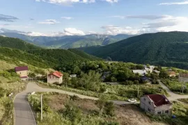 იყიდება მიწის ნაკვეთი, სასოფლო - სამეურნეო, წყლულეთი