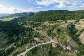 იყიდება მიწის ნაკვეთი, სასოფლო - სამეურნეო, წყლულეთი