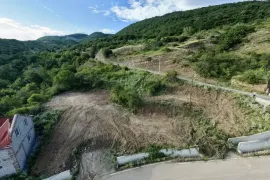 იყიდება მიწის ნაკვეთი, სასოფლო - სამეურნეო, წყლულეთი