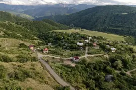 იყიდება მიწის ნაკვეთი, სასოფლო - სამეურნეო, წყლულეთი