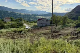 იყიდება მიწის ნაკვეთი, სასოფლო - სამეურნეო, წყლულეთი