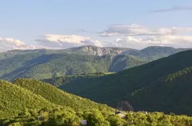 იყიდება მიწის ნაკვეთი, სასოფლო - სამეურნეო, წყლულეთი