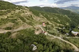 იყიდება მიწის ნაკვეთი, სასოფლო - სამეურნეო, წყლულეთი