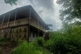 იყიდება სახლი, 7 ოთახიანი, მცხეთა, საგურამო