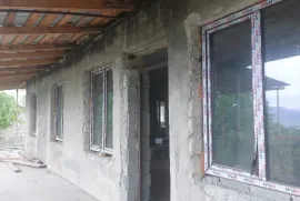 იყიდება სახლი, 7 ოთახიანი, მცხეთა, საგურამო