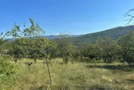 Land For Sale, Agricultural, Manglisi