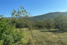 Land For Sale, Agricultural, Manglisi