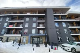 Apartment for sale, 1 Room, New building, Borjomi , Bakuriani