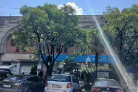 იყიდება, სპეციალური ფართი, სენაკი