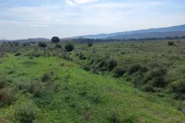 იყიდება მიწის ნაკვეთი, სასოფლო - სამეურნეო, ლისის ტბა