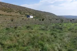 იყიდება მიწის ნაკვეთი, სასოფლო - სამეურნეო, ლისის ტბა