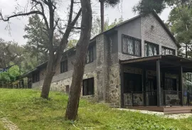 ქირავდება სახლი, 6 ოთახიანი, თბილისის შემოგარენი, კიკეთი