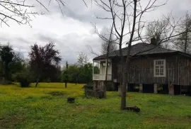 იყიდება მიწის ნაკვეთი, სასოფლო - სამეურნეო, მაცხოვრისკარი