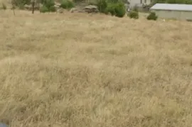 იყიდება მიწის ნაკვეთი, სასოფლო - სამეურნეო, გამარჯვება 