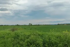 Продается Земля, Сельскохозяйственные, Samtavisi 