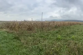 იყიდება მიწის ნაკვეთი, სასოფლო - სამეურნეო, სამთავისი 