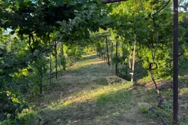 House For Sale, 6 Room, Tetritskaro, Asureti 