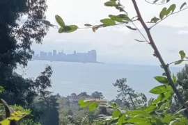 იყიდება მიწის ნაკვეთი, არა სასოფლო - სამეურნეო