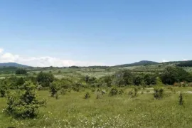 Lease Land , For Investment