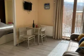 ქირავდება ბინა დღიურად, 2 ოთახიანი, ახალი აშენებული, ბორჯომი, ბაკურიანი