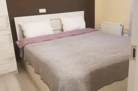 ქირავდება ბინა დღიურად, 2 ოთახიანი, ახალი აშენებული, ბორჯომი, ბაკურიანი