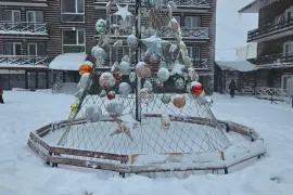 ქირავდება ბინა დღიურად, 2 ოთახიანი, ახალი აშენებული, ბორჯომი, ბაკურიანი