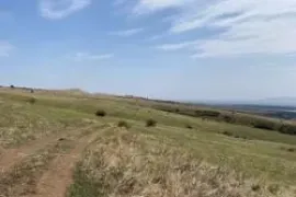 იყიდება მიწის ნაკვეთი, თბილისის ზღვა