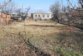 Продается Земля, Сельскохозяйственные, Telavi